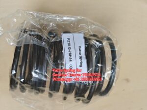 Gardner Denver PZ10 PZ11 Valve Spring -1