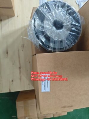 NOV 12P160 Piston Assembly 6.5inch -2