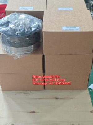 NOV 12P160 Piston Assembly 6inch -2